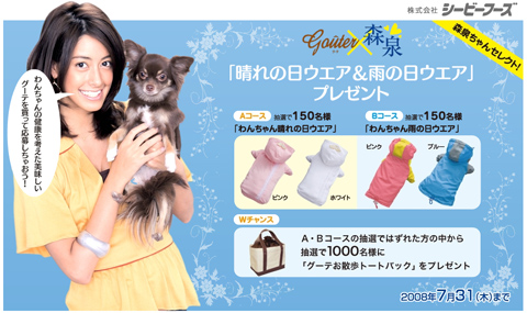 森泉ちゃんセレクトわんちゃん晴れの日ウエア・雨の日ウエアプレゼント