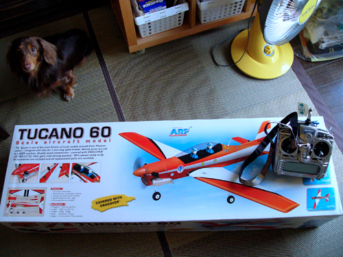 PHOENIX TUCANO60 箱