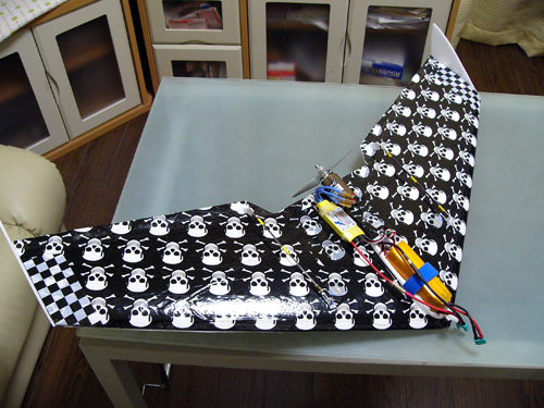 Windrider Mini Beeが完成