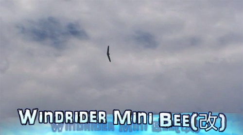 Windrider Mini Bee