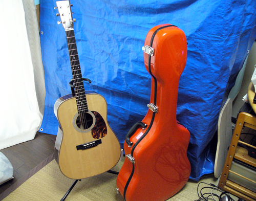 Grand Oply Guitar case