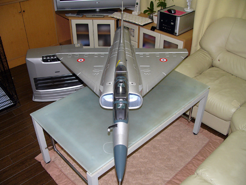 FLY FLY Mirage2000 90mm EDF 写真(3)