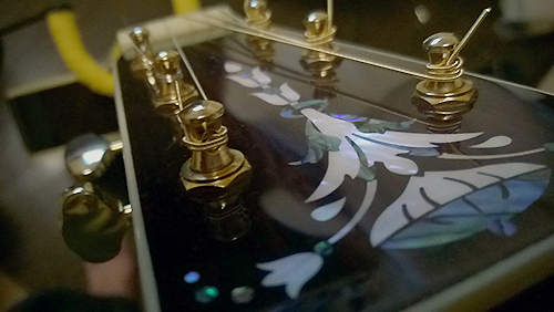 マクロで撮ってW500pix に縮小したアコギのヘッド写真