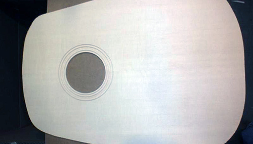 シトカスプルース