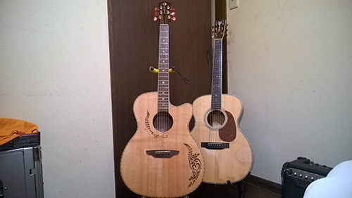 Luna Guitars Vicki Genfan SG