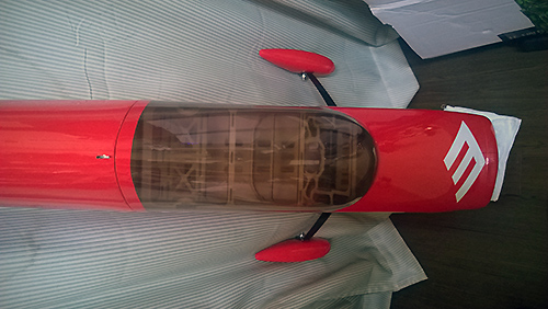 Goldwing MX-2 30cc EP キャノピー部分