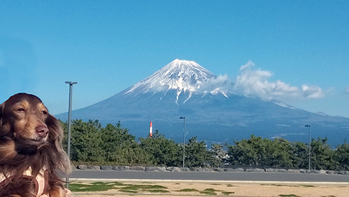 富士山＆マロ
