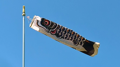 天気は快晴♪ 気持ちいい♪