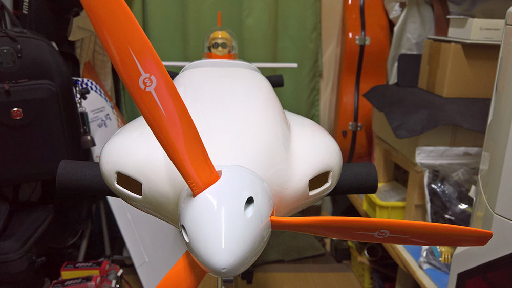 Seagullmodels MADNESS フロント