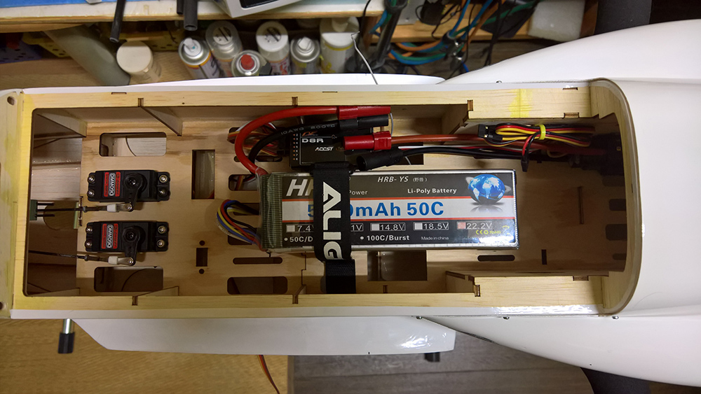 Seagullmodels MADNESS 内部