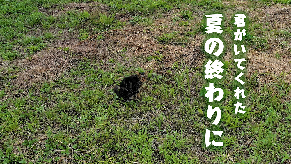 君がいてくれた夏の終わりに - DJI Mavic2PRO空撮