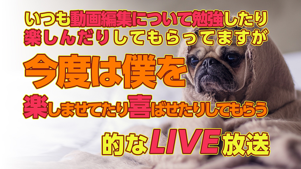 いつも動画編集について勉強したり楽しんだりしてもらってますが今度は僕を楽しませたり喜ばせたりしてもらう的なLIVE放送