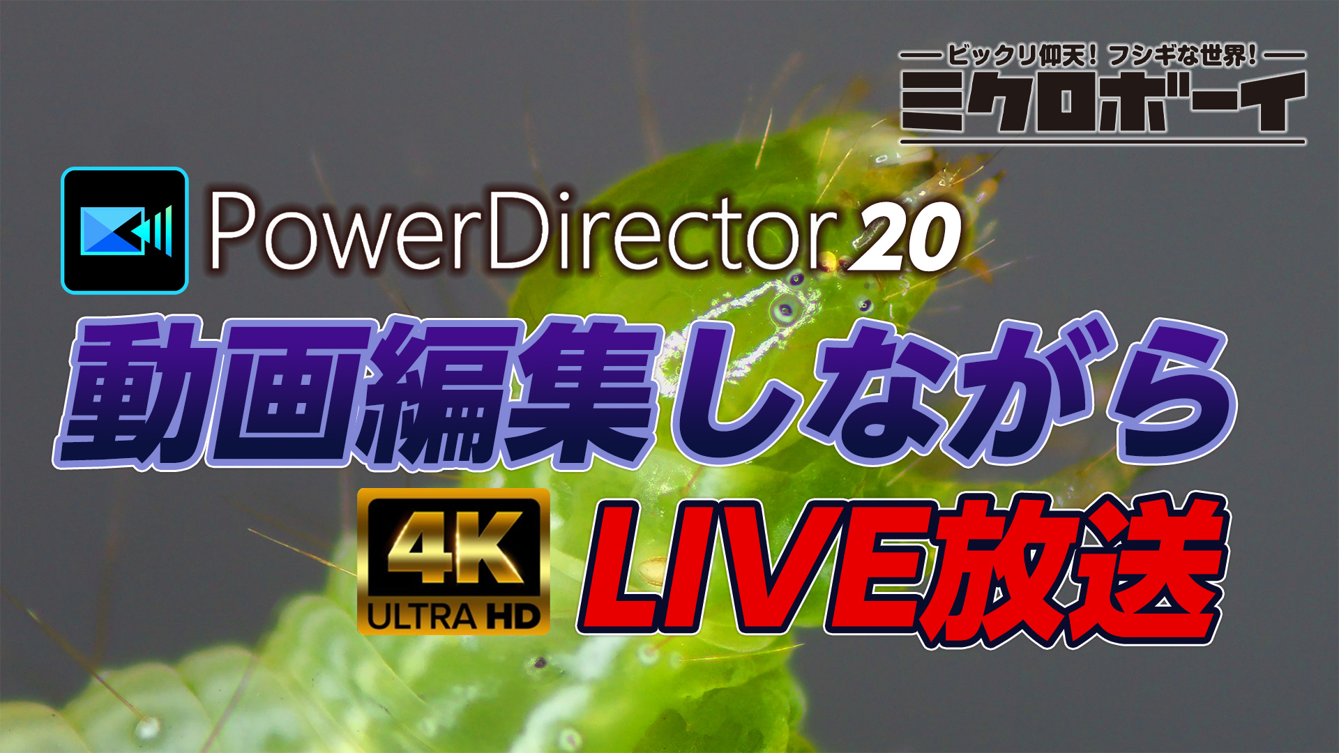 PowerDirector 20を使って動画編集しながら生放送！ - 動画編集質問・雑談ＯＫ！