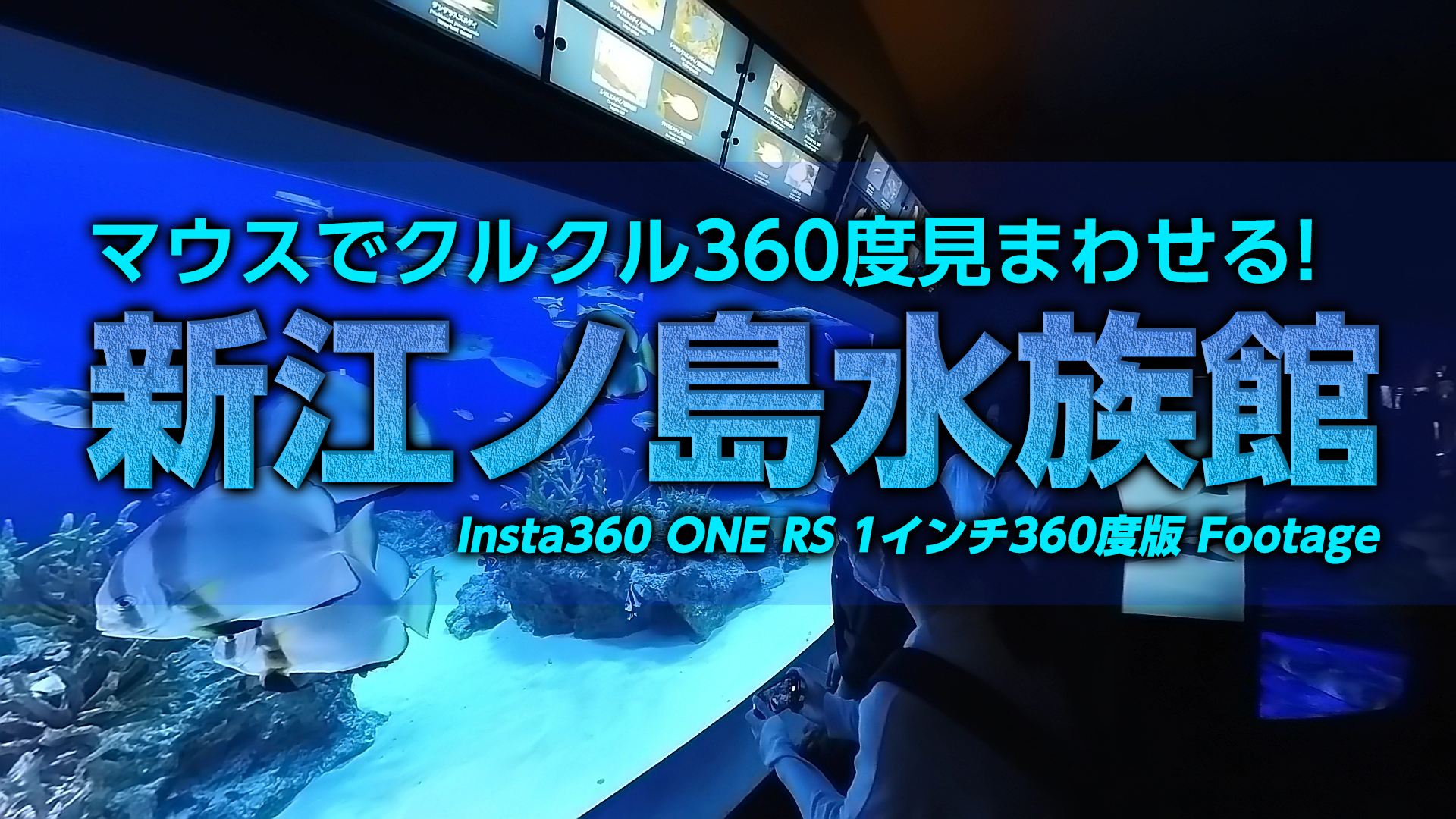 新江ノ島水族館-マウスでクルクル回して行った気になれるかもしれない360度動画